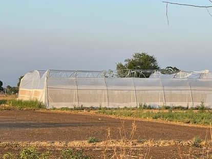 arnia news, polly house series