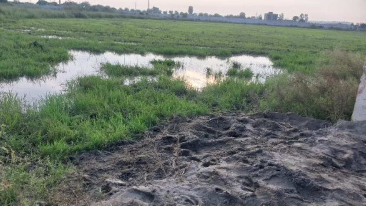 The village's water entered the playground of Uchana village, electricity came in the poles