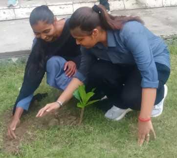 Pledged to stay away from addiction by planting trees