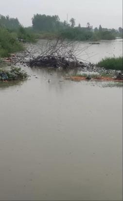 Waterlogging in the city, farmers are happy
