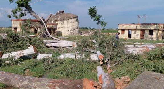 12 trees planted in the water corporation premises were cut down by theft
