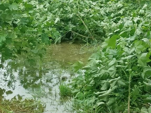 Get compensation for farmers by draining water from fields