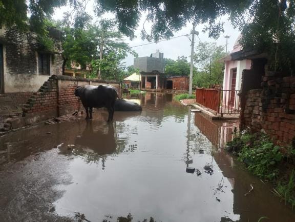 Due to the negligence of Municipal Corporation and Metro, 50 localities are waterlogged