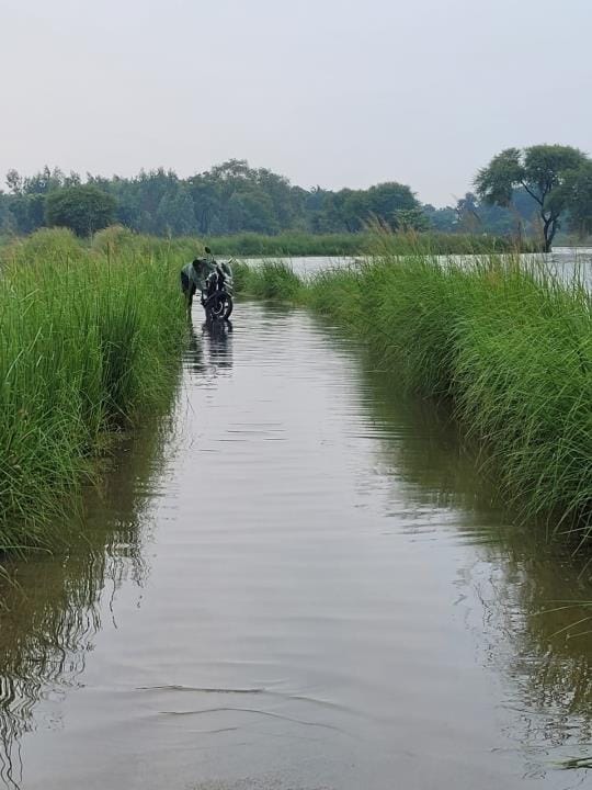 Gorakhpur News: Flood water on Derwa-Bairia road