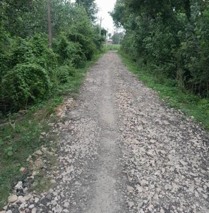 PWD is not repairing the road dug three months ago