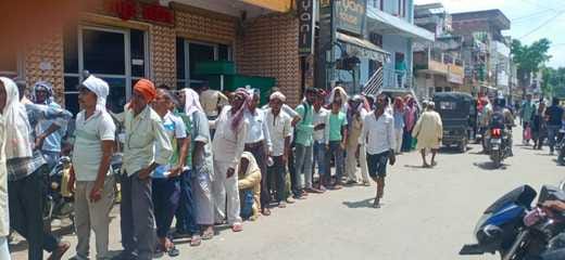 1300 people reached to take 690 bags of fertilizer, uproar