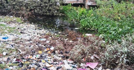 The pond of Marwari locality will be beautified