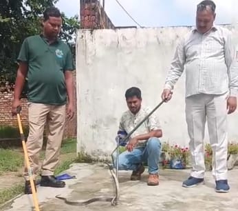 The forest department team caught the snake that appeared in the house