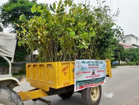 Chandan Foundation started the plant distribution campaign