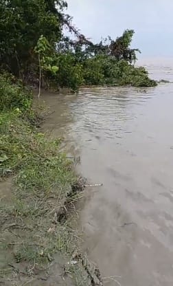 Sharda found in Sutia drain, waterlogging on riverside fields and roads