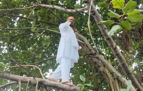 An old man climbed a banyan tree to stop felling of trees