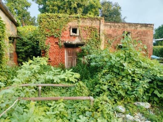 The building is dilapidated, the doctor is absent... animals are being treated by quacks
