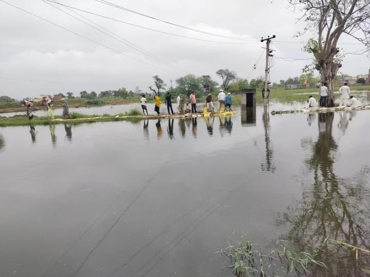 Waterlogging in 300 acres due to Kabir Minor breakage and drain overflow near Shahpur