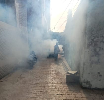 Last year in August, 11 dengue patients were found, this time the figure reached 88