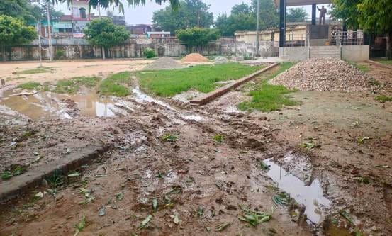 Bushes have grown in parks, parking is being done somewhere and protest sites have been created somewhere
