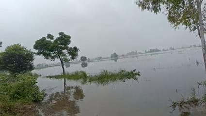 Hard work wasted, farmers' dreams drowned