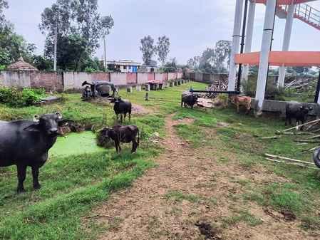 Water is not available, digging roads also made walking a difficult campaign
