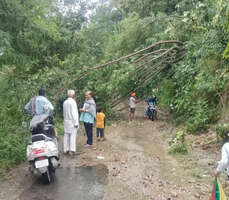 The villagers restored the connecting road by removing the tree