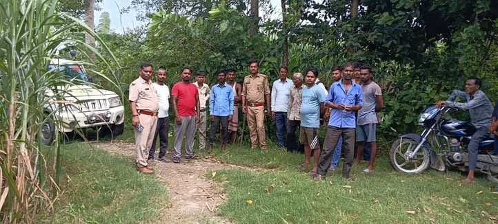 Villagers of Ballipur said that the female leopard is roaming with two cubs