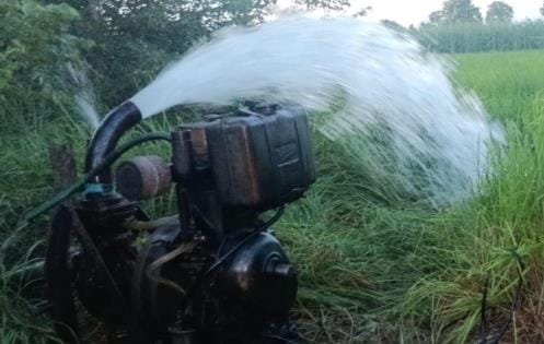 Due to weather, paddy and sugarcane farming is getting wasted
