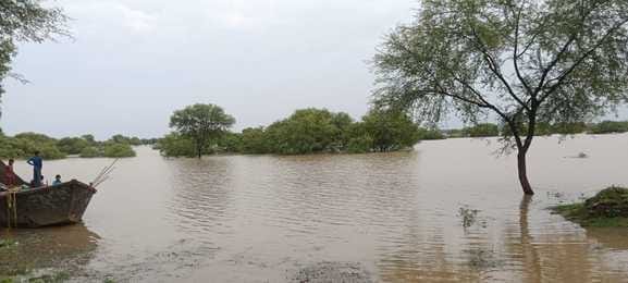 10 thousand bigha crops submerged in water for the third time in 37 days