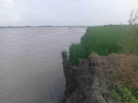 20 feet of farmers' land submerged in Yamuna, huge loss to agriculture