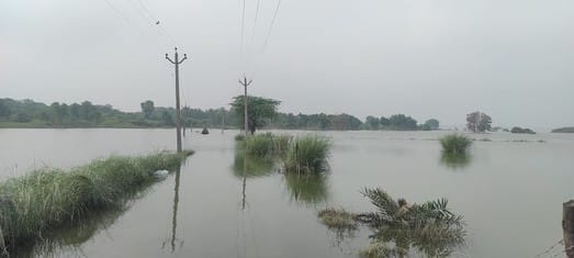 Yamuna above the danger mark