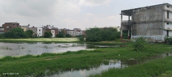 200 bigha farmland submerged, 50-60 houses got damp