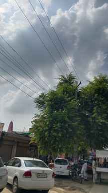 Electricity supply is being affected due to tree branches touching the wires