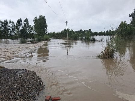 Eight houses and 200 bighas of land were cut off in Ahmednagar Bachhaura due to Ganga flood