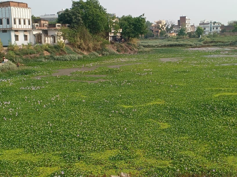 The ancient Sita Kund is in a bad condition, the pond is filled with water hyacinth