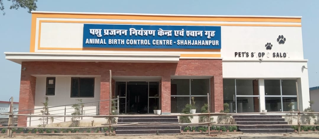 Municipal corporation will catch dogs, animal birth control center will start from 10 September