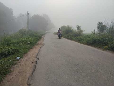 There was fog in the morning, bright sunshine came out after 10 o'clock