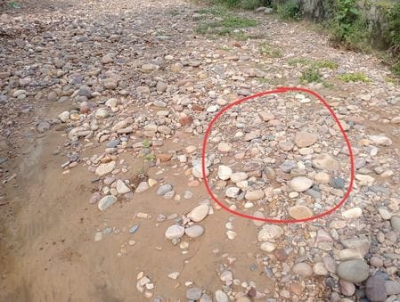 Expired medicines of government supply thrown in the open in Dioli ravine are missing