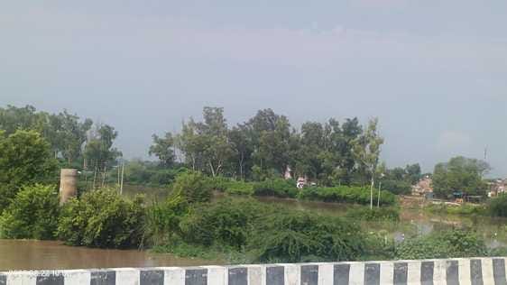 Paddy crops planted outside the river got submerged, farmers' worries are increasing