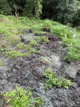 Disaster In Kullu Shimla, Natural Disaster Causes Loss Of Crores, Rampur - Rampur Bushahar News - Rampur Bushahar News:आपदा पीड़ितों के जख्म आज भी हरे, भूसंरक्षण विभाग बिना बजट भरपाई कैसे करे