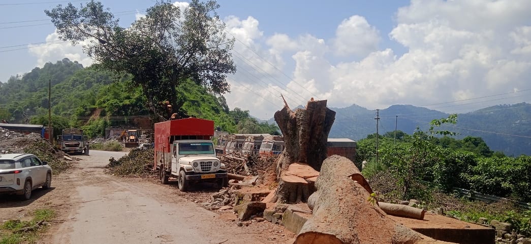 Centuries old heritage related to faith, shade and history became a victim of development