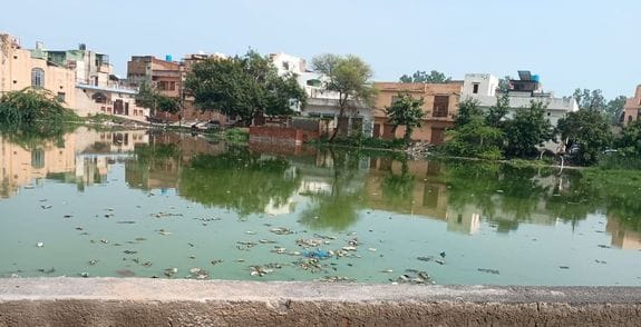 Dirt spread in Shadipur pond