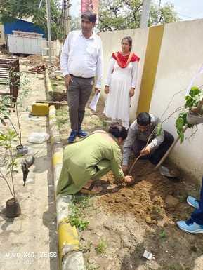 NHM employees planted trees on Amrita Devi Sacrifice Day