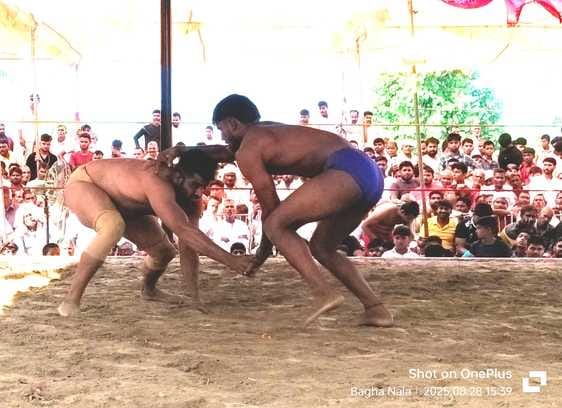 Organizing a fair and wrestling competition in Gauriyanayan