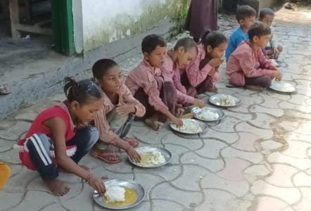 samples of midday meal failed
