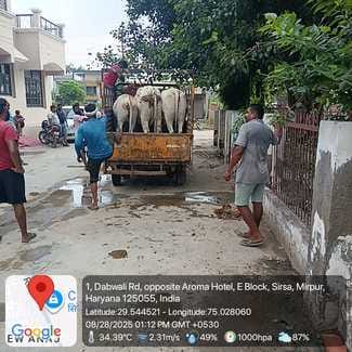 Despite orders, the animal catching team is not getting police protection