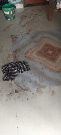 Niece drenched in blood dies, uncle's condition critical, there were marks of axe attack on his neck