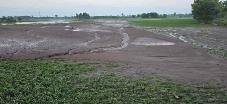 The hard work of the farmers is buried in the sand sheet spread in the fields
