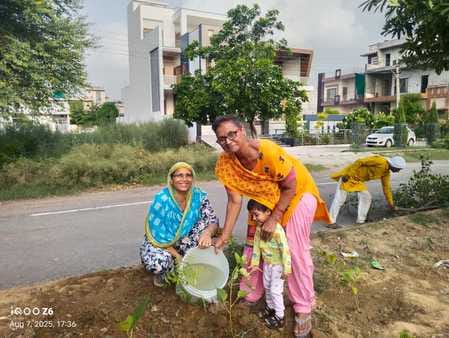 Out of 1650 plants planted in Sector 8 in a year, 1620 are safe