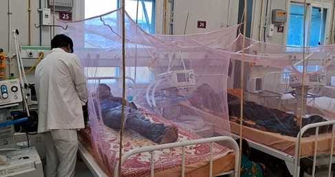 Muzaffarpur Bihar news :dengu case increases alert mode health department order to fogging
