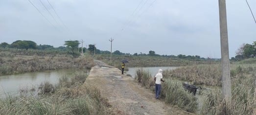Yamuna water level decreased, Gauhani Kalan road is open
