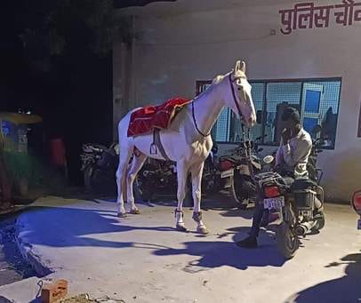 Celebrating birthday on horse with sword proved costly for the young man