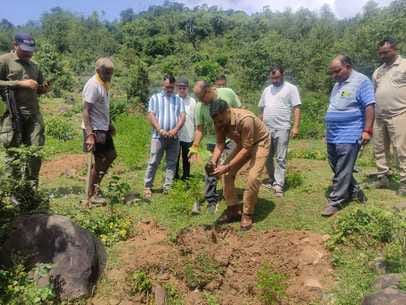 Message of conservation given by planting trees