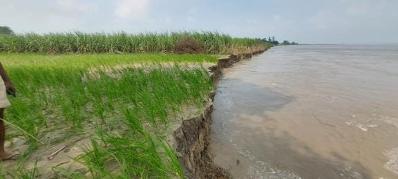 Erosion is increasing again, roofs and fields are getting submerged in the river